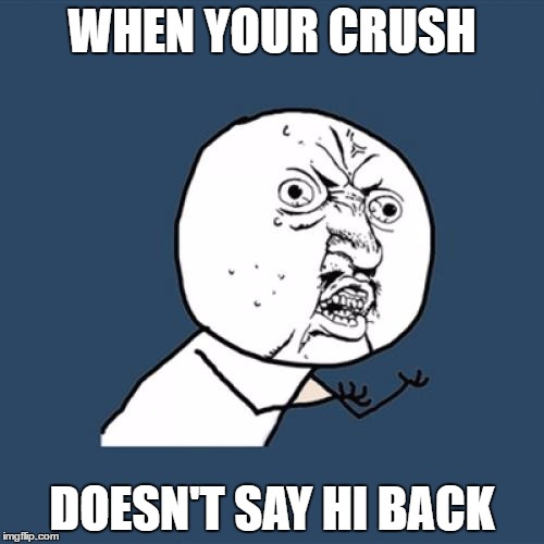Y U No Meme | WHEN YOUR CRUSH; DOESN'T SAY HI BACK | image tagged in memes,y u no,dank memes,skits bits and nits,first world problems,depression | made w/ Imgflip meme maker