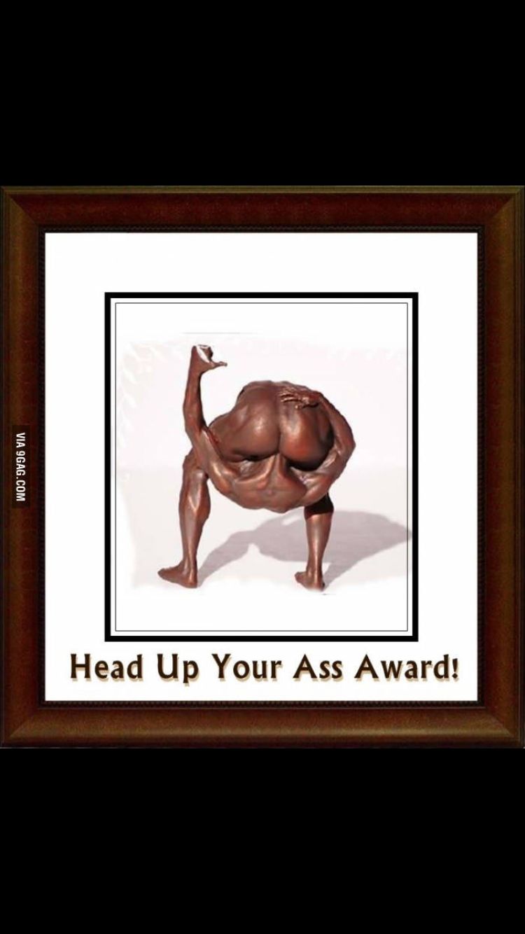 Dumbass award Blank Meme Template