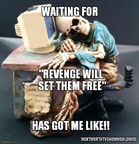 WAITING FOR; "REVENGE WILL SET THEM FREE"; HAS GOT ME LIKE!! WENTWORTHTVSHOWWORLDWIDE | image tagged in too funny | made w/ Imgflip meme maker