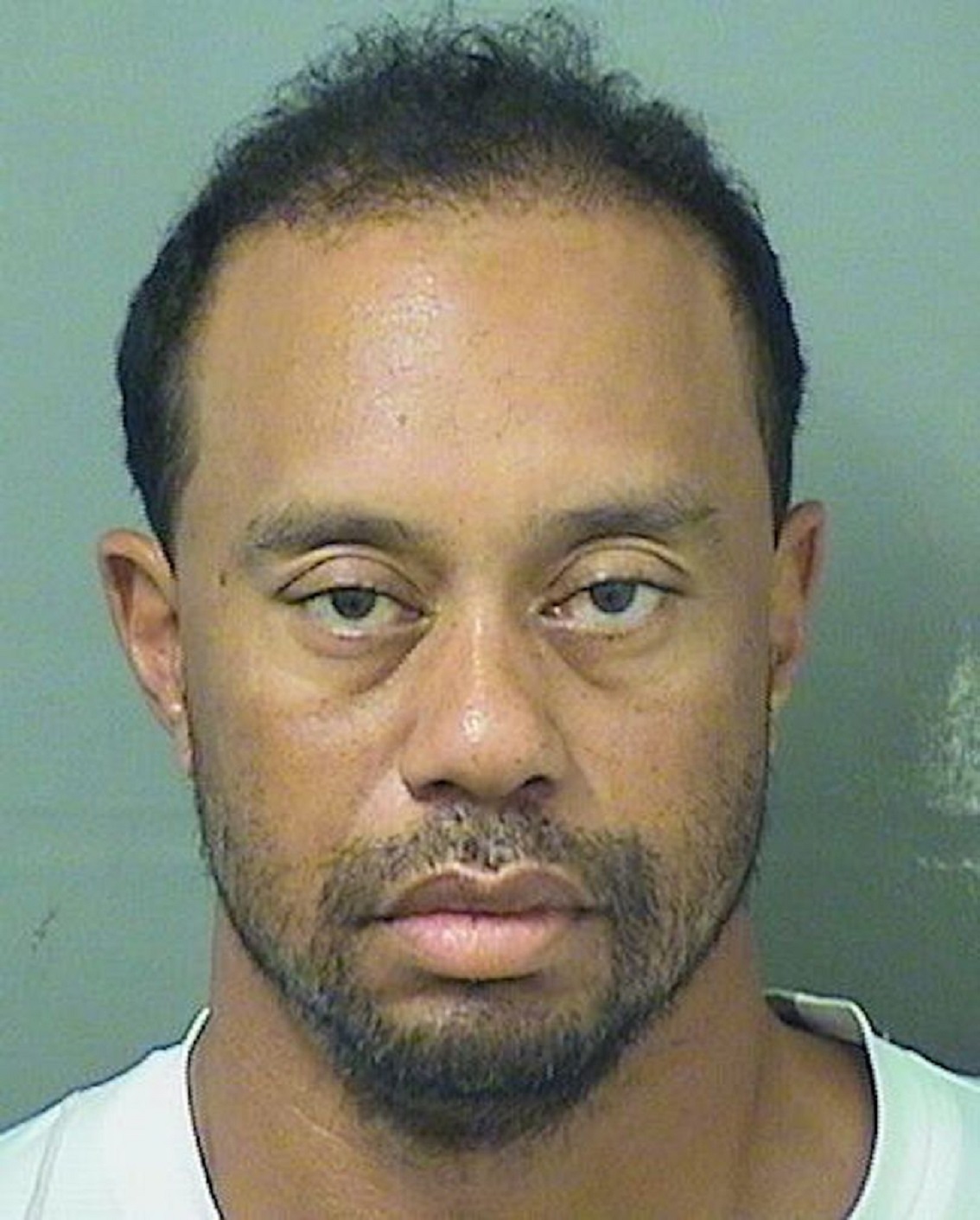 High Quality tiger woods  Blank Meme Template
