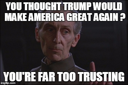 YOU THOUGHT TRUMP WOULD MAKE AMERICA GREAT AGAIN ? YOU'RE FAR TOO TRUSTING | image tagged in trump | made w/ Imgflip meme maker