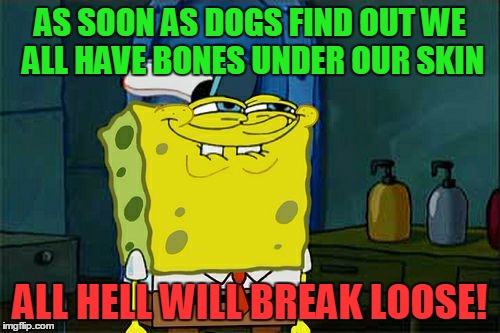 Do not, I repeat, DO NOT allow your dog to know! | AS SOON AS DOGS FIND OUT WE ALL HAVE BONES UNDER OUR SKIN; ALL HELL WILL BREAK LOOSE! | image tagged in memes,dont you squidward | made w/ Imgflip meme maker