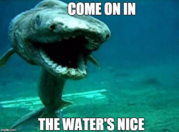 Yay, summer is finally here! Good luck and be safe, all you swimmers of the ocean. | COME ON IN; THE WATER'S NICE | image tagged in goblin shark,water,swimming,shark,summer time,goblin | made w/ Imgflip meme maker
