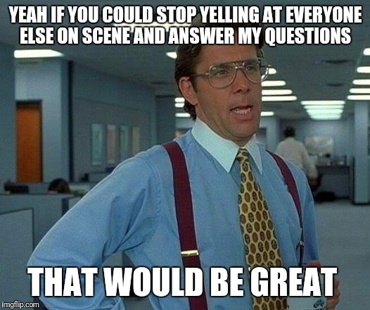 That Would Be Great Meme | YEAH IF YOU COULD STOP YELLING AT EVERYONE ELSE ON SCENE AND ANSWER MY QUESTIONS; THAT WOULD BE GREAT | image tagged in memes,that would be great | made w/ Imgflip meme maker