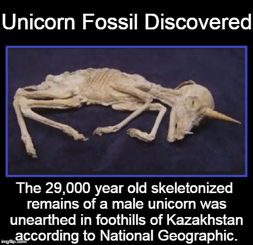 Faux-equus Unicorniae  | Unicorn Fossil Discovered; The 29,000 year old skeletonized remains of a male unicorn was unearthed in foothills of Kazakhstan according to National Geographic. | image tagged in vince vance,unicorns,national geographic | made w/ Imgflip meme maker