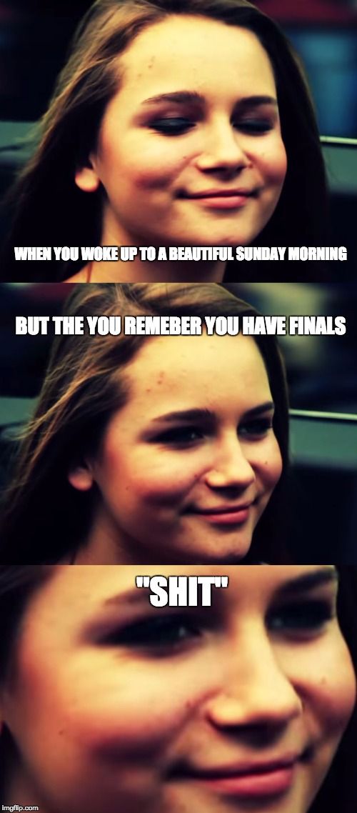 Dank Memes | WHEN YOU WOKE UP TO A BEAUTIFUL SUNDAY MORNING; BUT THE YOU REMEBER YOU HAVE FINALS; "SHIT" | image tagged in dank memes | made w/ Imgflip meme maker