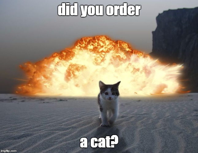 did you order a cat? | made w/ Imgflip meme maker