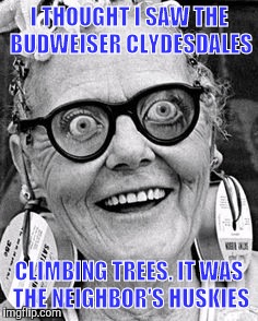 May Day! May Day ! | I THOUGHT I SAW THE BUDWEISER CLYDESDALES CLIMBING TREES. IT WAS THE NEIGHBOR'S HUSKIES | image tagged in may day may day | made w/ Imgflip meme maker