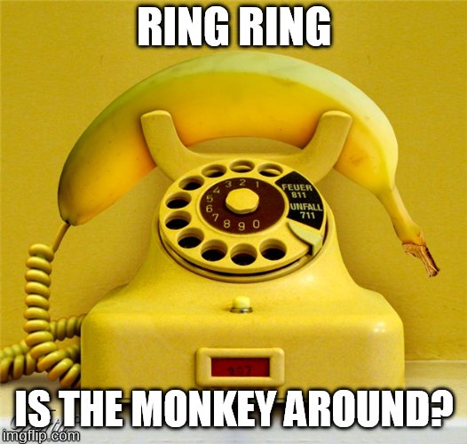 Banana Phone | RING RING; IS THE MONKEY AROUND? | image tagged in banana phone | made w/ Imgflip meme maker