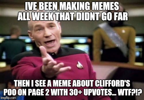 Picard Wtf | IVE BEEN MAKING MEMES ALL WEEK THAT DIDNT GO FAR; THEN I SEE A MEME ABOUT CLIFFORD'S POO ON PAGE 2 WITH 30+ UPVOTES... WTF?!? | image tagged in memes,picard wtf | made w/ Imgflip meme maker