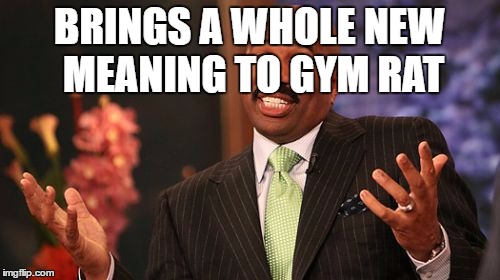 Steve Harvey Meme | BRINGS A WHOLE NEW MEANING TO GYM RAT | image tagged in memes,steve harvey | made w/ Imgflip meme maker