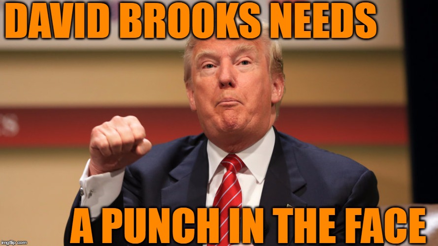 DAVID BROOKS NEEDS A PUNCH IN THE FACE | made w/ Imgflip meme maker