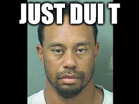 Tiger .08 Woods | JUST DUI T | image tagged in tiger woods | made w/ Imgflip meme maker