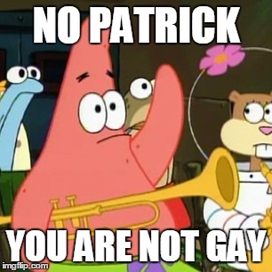 No Patrick | NO PATRICK; YOU ARE NOT GAY | image tagged in memes,no patrick | made w/ Imgflip meme maker