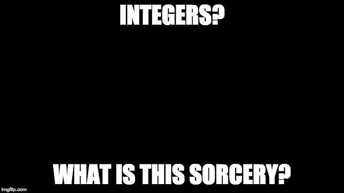 What Is This Sorcery | INTEGERS? WHAT IS THIS SORCERY? | image tagged in what is this sorcery | made w/ Imgflip meme maker