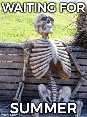 Waiting Skeleton | WAITING FOR; SUMMER | image tagged in memes,waiting skeleton | made w/ Imgflip meme maker