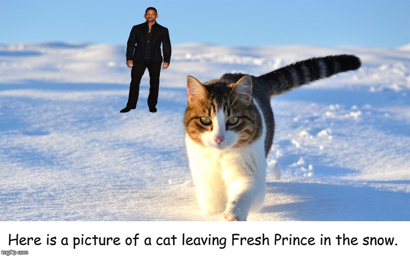he he  | Here is a picture of a cat leaving Fresh Prince in the snow. | image tagged in cats,will smith,fresh prince,memes | made w/ Imgflip meme maker