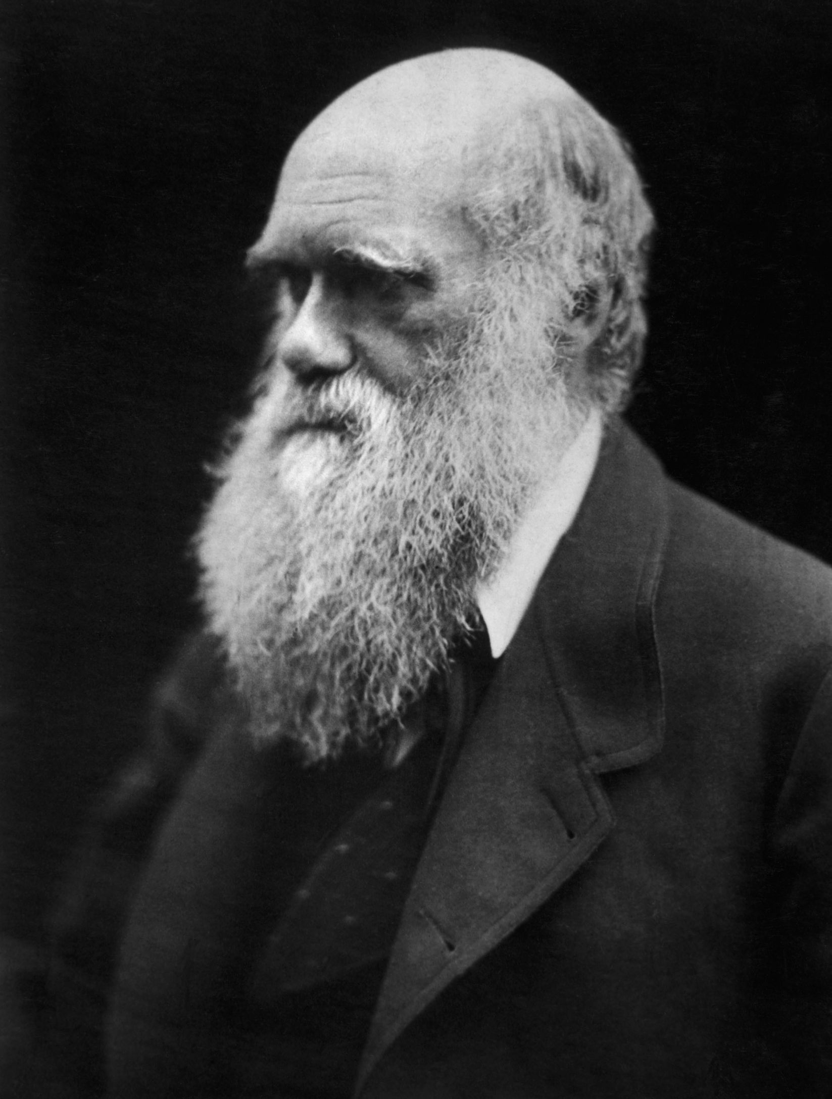 Charles Darwin Blank Meme Template