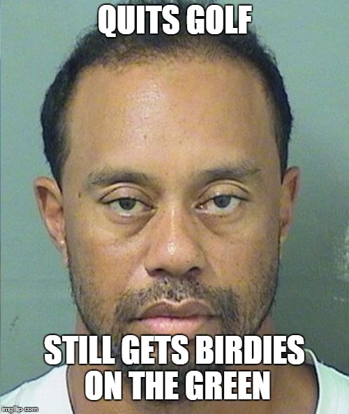 high times | QUITS GOLF; STILL GETS BIRDIES ON THE GREEN | image tagged in tiger woods,golf,birdie,green,drugs,drunk | made w/ Imgflip meme maker