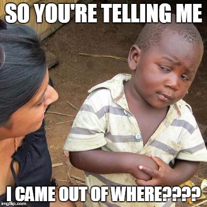 Third World Skeptical Kid Meme | SO YOU'RE TELLING ME; I CAME OUT OF WHERE???? | image tagged in memes,third world skeptical kid | made w/ Imgflip meme maker
