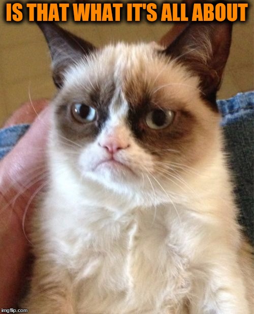 Grumpy Cat Meme | IS THAT WHAT IT'S ALL ABOUT | image tagged in memes,grumpy cat | made w/ Imgflip meme maker