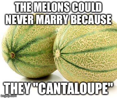 THE MELONS COULD NEVER MARRY BECAUSE; THEY "CANTALOUPE" | image tagged in melons | made w/ Imgflip meme maker