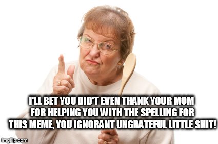 I'LL BET YOU DID'T EVEN THANK YOUR MOM FOR HELPING YOU WITH THE SPELLING FOR THIS MEME, YOU IGNORANT UNGRATEFUL LITTLE SHIT! | made w/ Imgflip meme maker