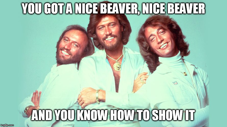Famous misheard lyrics | YOU GOT A NICE BEAVER, NICE BEAVER; AND YOU KNOW HOW TO SHOW IT | image tagged in beegees,misheard lyrics | made w/ Imgflip meme maker