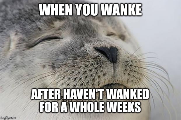 Satisfied Seal Meme | WHEN YOU WANKE; AFTER HAVEN'T WANKED FOR A WHOLE WEEKS | image tagged in memes,satisfied seal | made w/ Imgflip meme maker