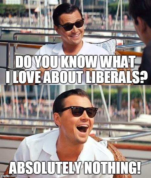 I Suppose They're Good For A Laugh When They're Not In Power... | DO YOU KNOW WHAT I LOVE ABOUT LIBERALS? ABSOLUTELY NOTHING! | image tagged in memes,leonardo dicaprio wolf of wall street | made w/ Imgflip meme maker