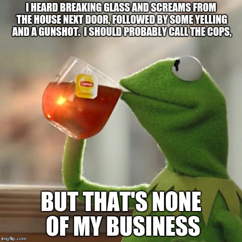 But That's None Of My Business Meme | I HEARD BREAKING GLASS AND SCREAMS FROM THE HOUSE NEXT DOOR, FOLLOWED BY SOME YELLING AND A GUNSHOT.  I SHOULD PROBABLY CALL THE COPS, BUT THAT'S NONE OF MY BUSINESS | image tagged in memes,but thats none of my business,kermit the frog | made w/ Imgflip meme maker
