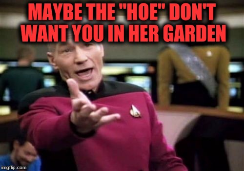 Picard Wtf Meme | MAYBE THE "HOE" DON'T WANT YOU IN HER GARDEN | image tagged in memes,picard wtf | made w/ Imgflip meme maker