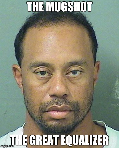  Hair and Makeup people , never there when you need them | THE MUGSHOT; THE GREAT EQUALIZER | image tagged in tiger's mugshot,fallout,dui | made w/ Imgflip meme maker