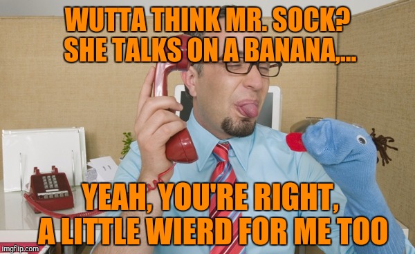 WUTTA THINK MR. SOCK? SHE TALKS ON A BANANA,... YEAH, YOU'RE RIGHT, A LITTLE WIERD FOR ME TOO | made w/ Imgflip meme maker