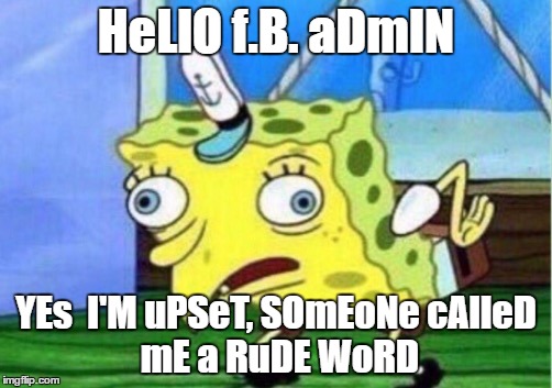 Mocking Spongebob | HeLlO f.B. aDmIN; YEs  I'M uPSeT, SOmEoNe
cAlleD mE a RuDE WoRD | image tagged in mocking spongebob | made w/ Imgflip meme maker