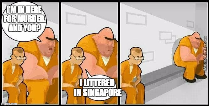 prisoners blank | I'M IN HERE FOR MURDER. AND YOU? I LITTERED IN SINGAPORE | image tagged in prisoners blank | made w/ Imgflip meme maker