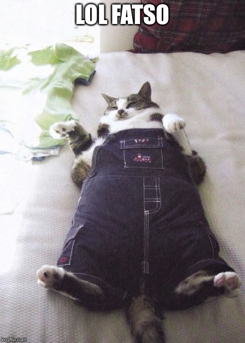 Fat Cat | LOL FATSO | image tagged in memes,fat cat | made w/ Imgflip meme maker