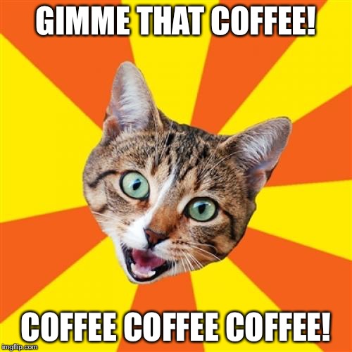 Bad Advice Cat Meme | GIMME THAT COFFEE! COFFEE COFFEE COFFEE! | image tagged in memes,bad advice cat | made w/ Imgflip meme maker