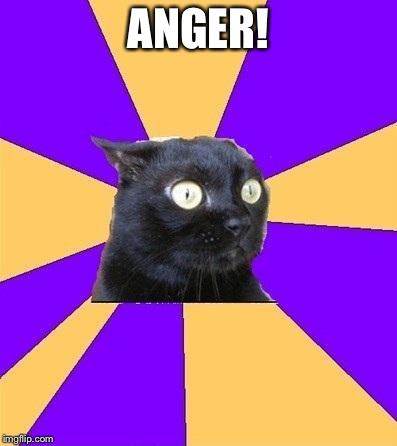 anxiety cat | ANGER! | image tagged in anxiety cat | made w/ Imgflip meme maker