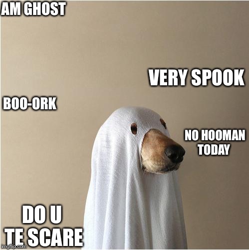 Ghost Doge | AM GHOST; VERY SPOOK; BOO-ORK; NO HOOMAN TODAY; DO U TE SCARE | image tagged in ghost doge | made w/ Imgflip meme maker