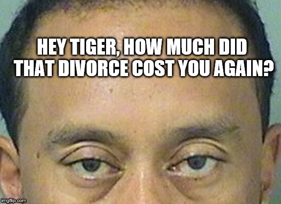 HEY TIGER, HOW MUCH DID THAT DIVORCE COST YOU AGAIN? | image tagged in tiger woods,golf,divorce | made w/ Imgflip meme maker