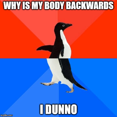 Socially Awesome Awkward Penguin | WHY IS MY BODY BACKWARDS; I DUNNO | image tagged in memes,socially awesome awkward penguin | made w/ Imgflip meme maker