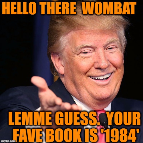 HELLO THERE  WOMBAT LEMME GUESS.  YOUR FAVE BOOK IS '1984' | made w/ Imgflip meme maker
