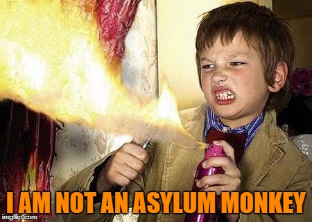 ASYLUM MONKEY | I AM NOT AN ASYLUM MONKEY | image tagged in asylum monkey,insane,dangerous | made w/ Imgflip meme maker
