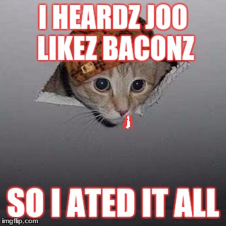 Ceiling Cat Meme | I HEARDZ JOO LIKEZ BACONZ; SO I ATED IT ALL | image tagged in memes,ceiling cat,scumbag | made w/ Imgflip meme maker