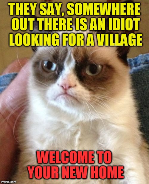 Grumpy Cat | THEY SAY, SOMEWHERE OUT THERE IS AN IDIOT LOOKING FOR A VILLAGE; WELCOME TO YOUR NEW HOME | image tagged in memes,grumpy cat | made w/ Imgflip meme maker