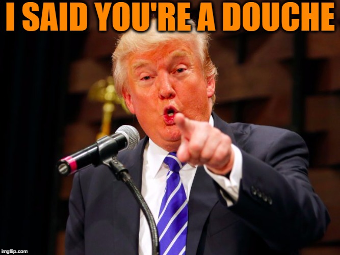 trump point | I SAID YOU'RE A DOUCHE | image tagged in trump point | made w/ Imgflip meme maker