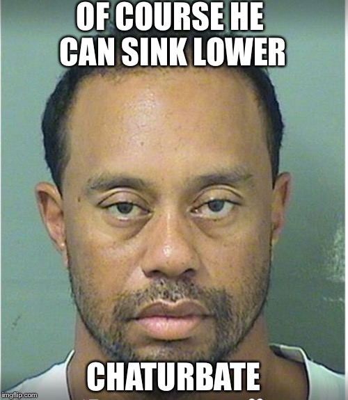 Tiger Woods Mug Shot  | OF COURSE HE CAN SINK LOWER; CHATURBATE | image tagged in tiger woods mug shot | made w/ Imgflip meme maker