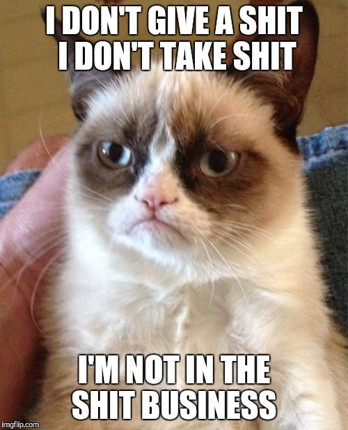 Grumpy Cat | I DON'T GIVE A SHIT  I DON'T TAKE SHIT; I'M NOT IN THE SHIT BUSINESS | image tagged in memes,grumpy cat | made w/ Imgflip meme maker