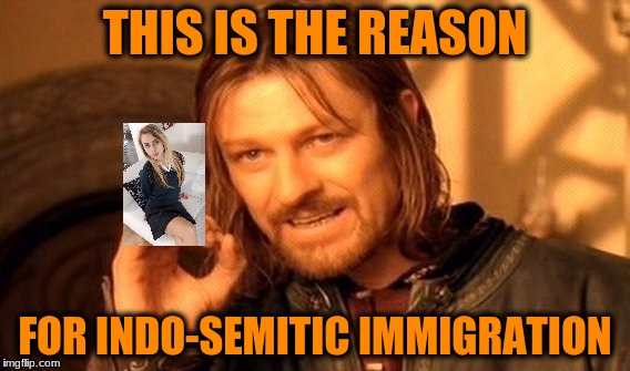 One Does Not Simply Meme | THIS IS THE REASON; FOR INDO-SEMITIC IMMIGRATION | image tagged in memes,one does not simply | made w/ Imgflip meme maker